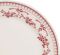 ТАРЕЛКА Фаустина, COMPTOIR DE FAMILLE,  DINNER PLATE FAUSTINE BURGUNDY D26.5CM EARTHENWARE, АРТИКУЛ 110460