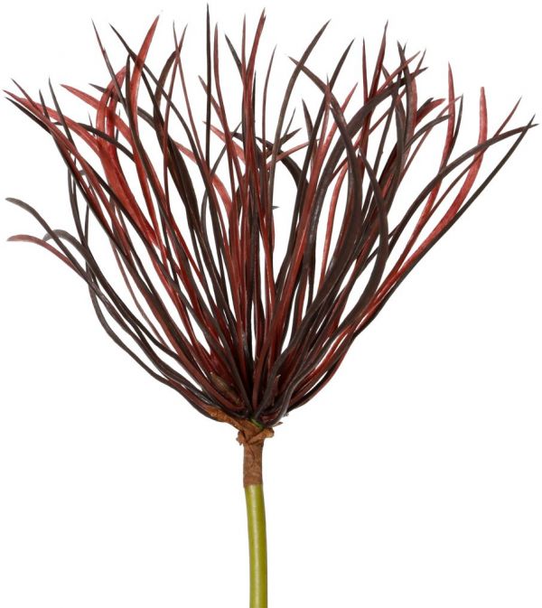 ЦВЕТОК ДЕКОРАТИВНЫЙPAPYRUS  FLOWER PAPYRUS BURGUNDY 76X9X4CM PLASTIC+WIRE COTE TABLE, АРТИКУЛ 33443