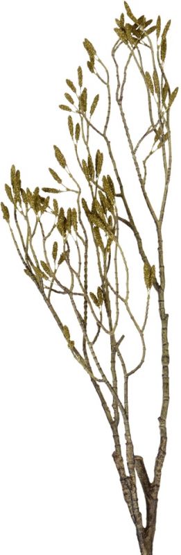 ЦВЕТОК ДЕКОРАТИВНЫЙ CATKIN  BRUSHWOOD CATKIN GREEN 105X8X4CM PLASTIC+WIRE COTE TABLE, АРТИКУЛ 33451