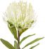 ЦВЕТОК ДЕКОРАТИВНЫЙPROTEACE  FLOWER PROTEACE FLEUR WHITE H78CM PLASTIC COTE TABLE, АРТИКУЛ 33852