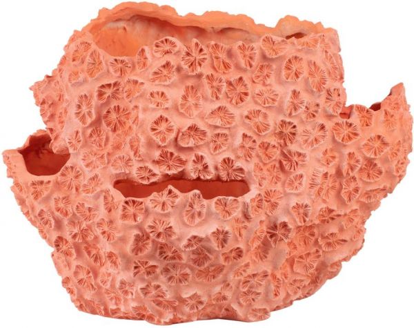 Ваза   VASE CORAL BORDEMER CORAL 44X34XH32CM POLYRESIN COTE TABLE, арт.: 34909