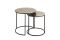 СТОЛ КОФЕЙНЫЙ, НАБОР ИЗ 2 ШТ.,, COTE TABLE, NEST OF 2 TABLE FELIA SLVER D41H52+D49H46 ALU+IRON, Арт.: 36479 СТОЛ КОФЕЙНЫЙ, НАБОР ИЗ 2 ШТ.,, COTE TABLE, NEST OF 2 TABLE FELIA SLVER D41H52+D49H46 ALU+IRON, Арт.: 36479