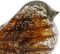 Птица ПРЕДМЕТЫ ИНТЕРЬЕРА/ДЕКОРативная, PAPER WEIGHT SPARROW SERIN AMBER+GOLD 13X7H7 GLASS ,Cote Table ,Арт.: 36910 Птица ПРЕДМЕТЫ ИНТЕРЬЕРА/ДЕКОРативная, PAPER WEIGHT SPARROW SERIN AMBER+GOLD 13X7H7 GLASS ,Cote Table ,Арт.: 36910
