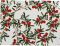 Салфетка подстановочная, PLACEMAT AIRELLE RED+GREEN 50X38CM 100% хлопок ,Cote Table ,Арт.: 37272 Салфетка подстановочная, PLACEMAT AIRELLE RED+GREEN 50X38CM 100% хлопок ,Cote Table ,Арт.: 37272