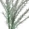 Цветок розмарин ROMARINO изумрудный H147CM, Cote Table