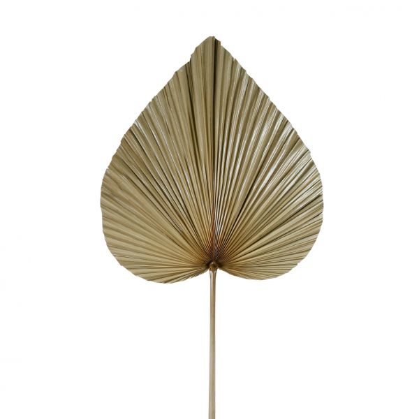 Декоративная ветвь PALMIER NATURAL 48XH109CM пальмовый лист, Cote Table