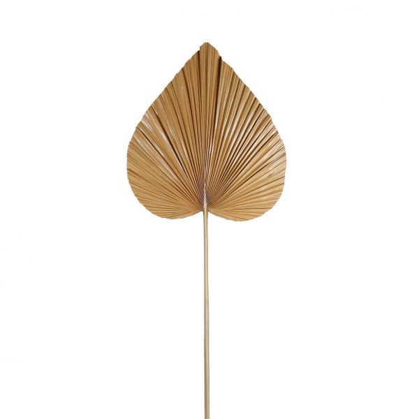 Декоративная ветвь PALMIER NATURAL 48XH109CM пальмовый лист, Cote Table